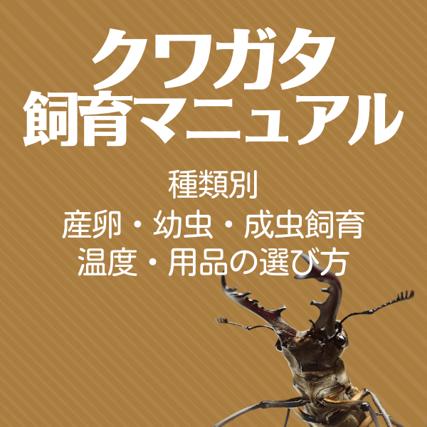 種類別クワガタ飼育マニュアル