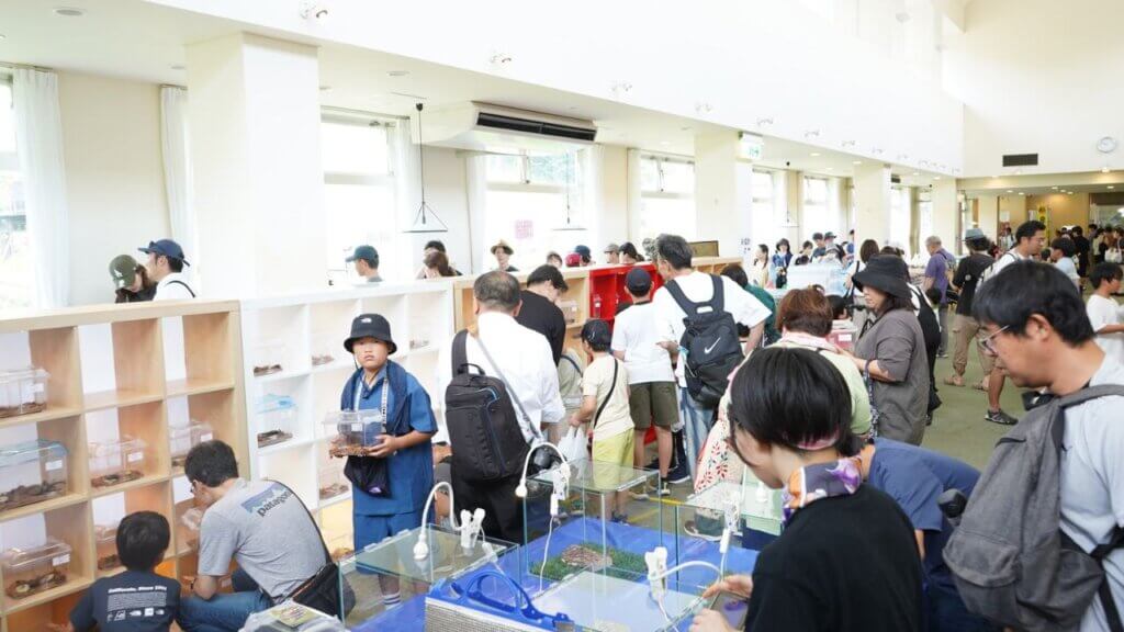 世界のクワガタカブトムシ大集合