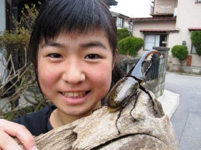 ヘラクレス・ヘラクレス