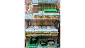 みんなの飼育部屋