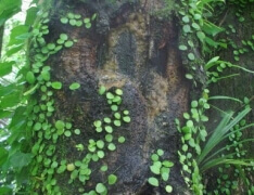 img_20120618T172554640