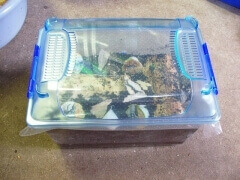 img_20120116T141044156