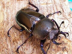 img_20110520T130555343