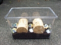 img_20110831T133207921