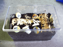 img_20080801T16130682823