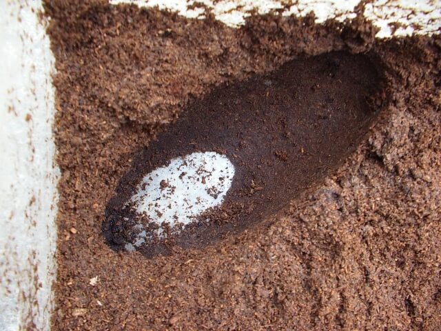 露天掘り　状態