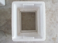 img_20111221T131549781