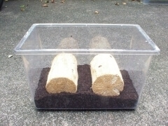 img_20110820T154054875