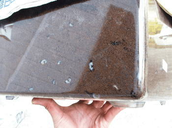 ウッドラークパプアマルカブト　産卵ケース