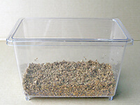 国産カブトムシ成虫飼育、ほだマットをしいたところ 国産カブトムシ成虫飼育、ほだマットをしいたところ