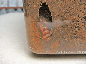 様子を確認する 様子を確認する