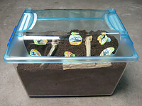 再発酵をしていないか確認 再発酵をしていないか確認