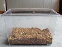 加水したマットをしく 加水したマットをしく