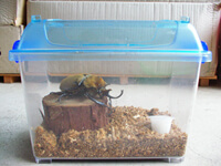 セット完了 セット完了