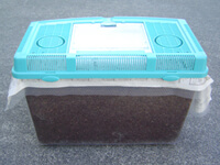 新聞紙と穴の開いたビニールシート