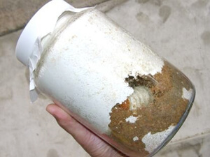 クワガタ幼虫飼育-菌糸ビン クワガタ幼虫飼育-菌糸ビン