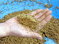 ホダMat加水2 ホダMat加水2