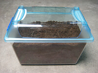 発酵マット詰め具合 発酵マット詰め具合