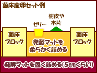 クワガタ菌床産卵セット図 クワガタ菌床産卵セット図