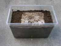 クワガタ菌床産卵セット クワガタ菌床産卵セット